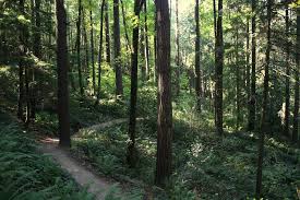 images (2)