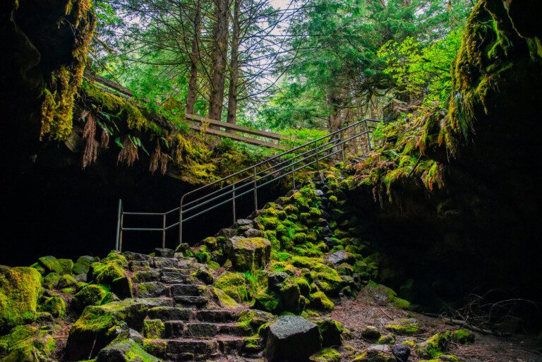 20210601 103653 news.210519.ape.caves.jw 1